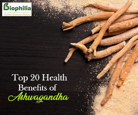 Top 20 Health Benefits of Ashwagandha