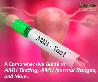 A Comprehensive Guide to AMH Testing, AMH Normal Ranges