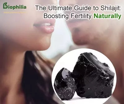 Ultimate Guide to Shilajit