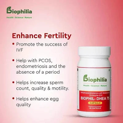 Increase Your Chances of IVF Success