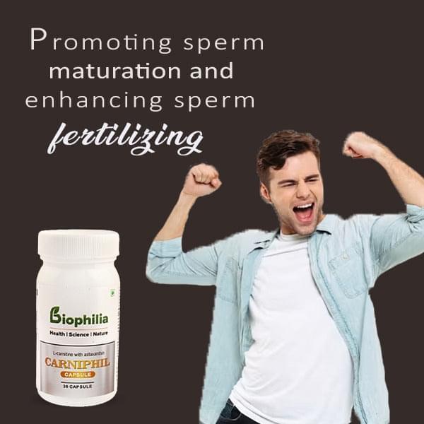 Carniphil: Boost Your Sperm Count and Quality